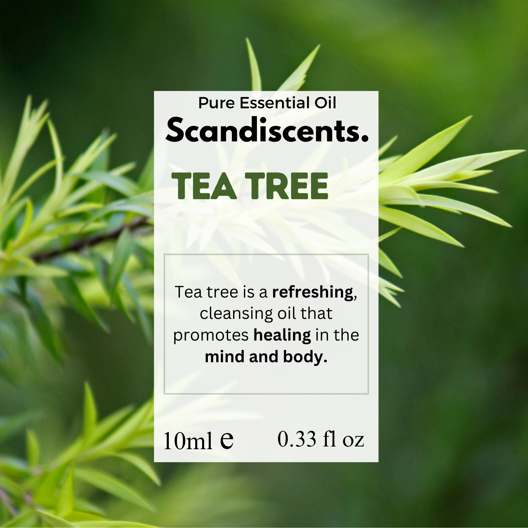 Tea Tree Essential Oil