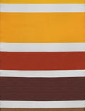 Rainbow Outdoor Rug Yellow Modern