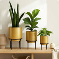 Avento Set Of Three Gold Planters