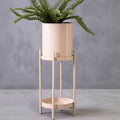 Asher Two Tier Natural Plant Stand