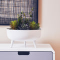 Alina White Planter
