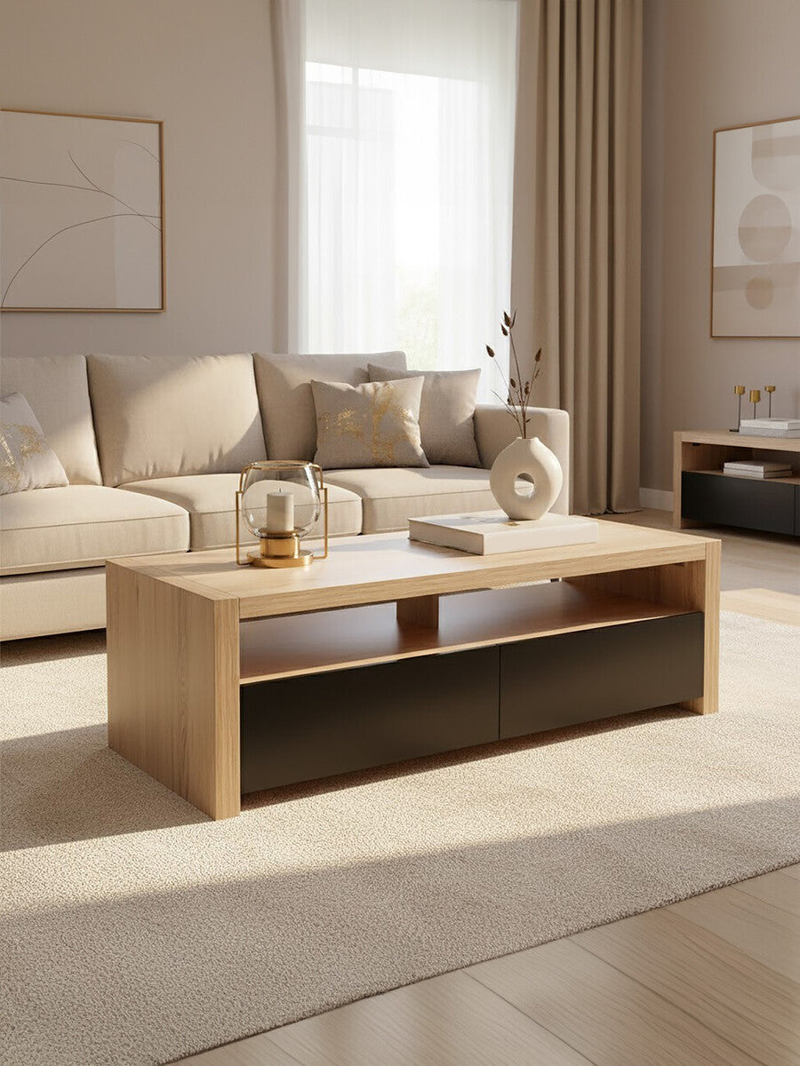 Loki 2 Drawers & 1 Shelf Coffee Table