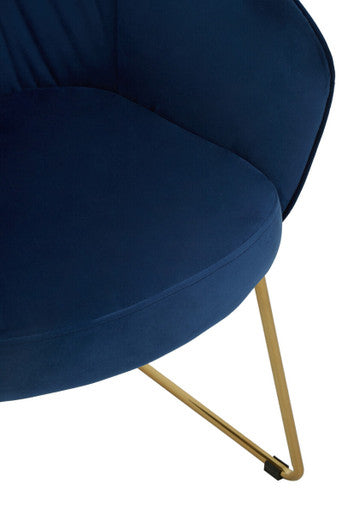 Veneto Midnight Velvet Curved Dining Chair