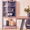 Acier Two Door Grey Metal Cabinet With Glass Doors