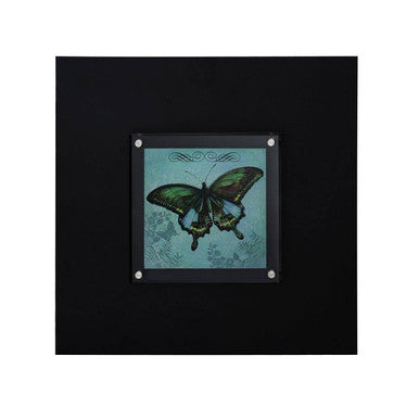 Butterfly 1 Framed Wall Art Black Contemporary