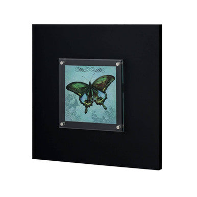 Butterfly 1 Framed Wall Art Black Contemporary
