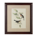 Framed Birds 1 Wall Art Oak Contemporary