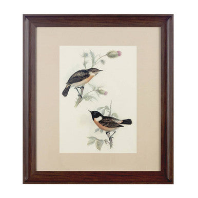 Framed Birds 2 Wall Art Natural