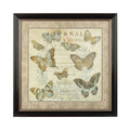 Framed Butterfly Wall Art Black