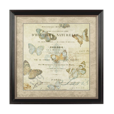 Framed Butterfly 2 Wall Art Black Vintage