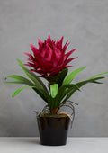 Fiori Pink Tropical Plant With Black Ceramic Pot