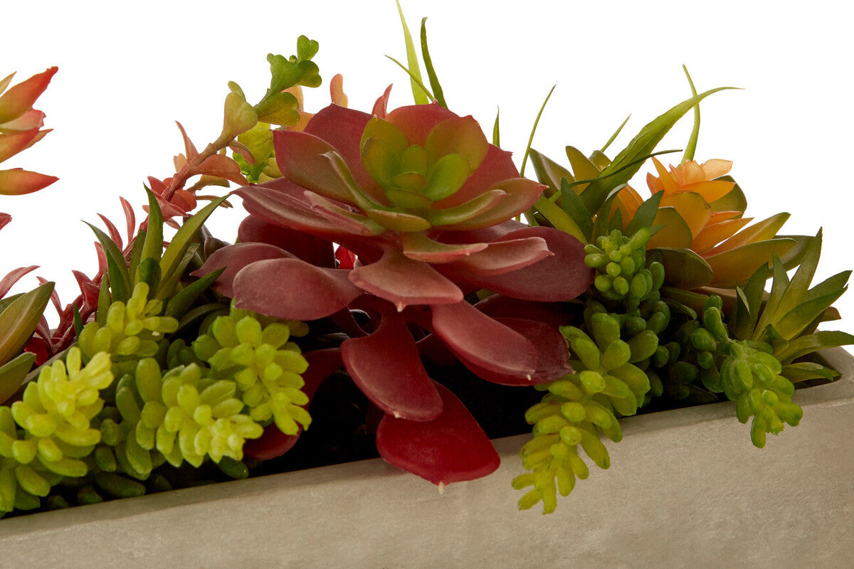 Fiori Mixed Succulents With Cement Pot