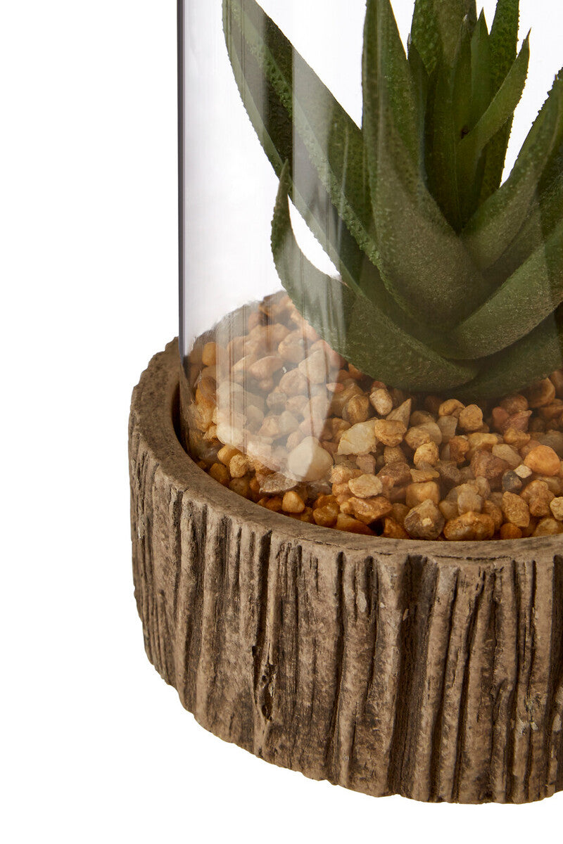 Fiori Small Succulent With Natural Stone Base