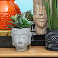 Fiori Buddha Pot Mixed Succulent