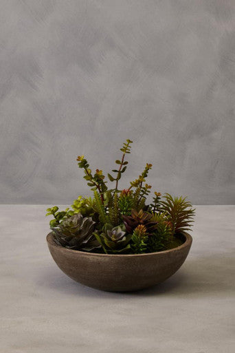 Fiori Mixed Succulent In Stone Pot