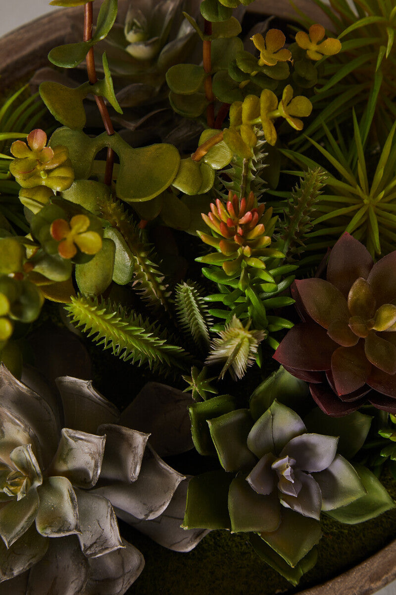 Fiori Mixed Succulent In Stone Pot