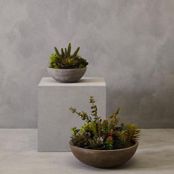Fiori Mixed Succulent In Stone Pot