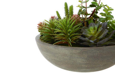 Fiori Mixed Succulent In Stone Pot