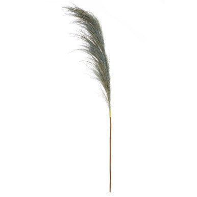 Fiori Blue Tall Pampas Grass Stem