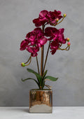Fiori Purple Orchid In Silver Pot