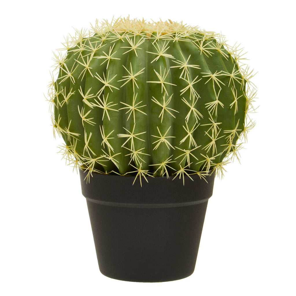 Fiori Round Cactus In Pot Green