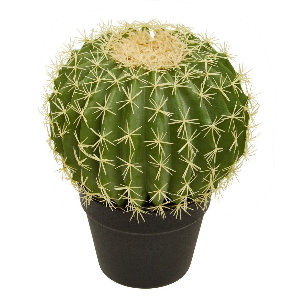 Fiori Round Cactus In Pot Green
