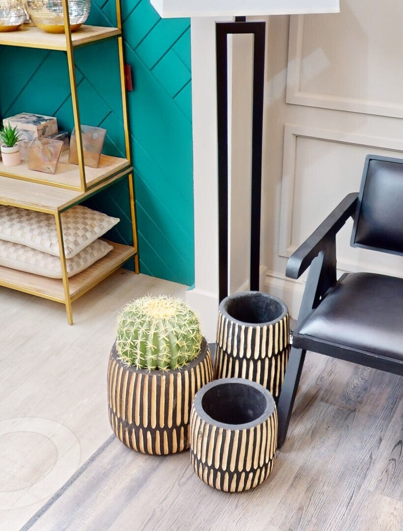 Fiori Round Cactus In Pot Green
