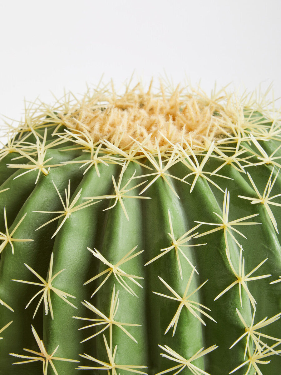 Fiori Round Cactus In Pot Green