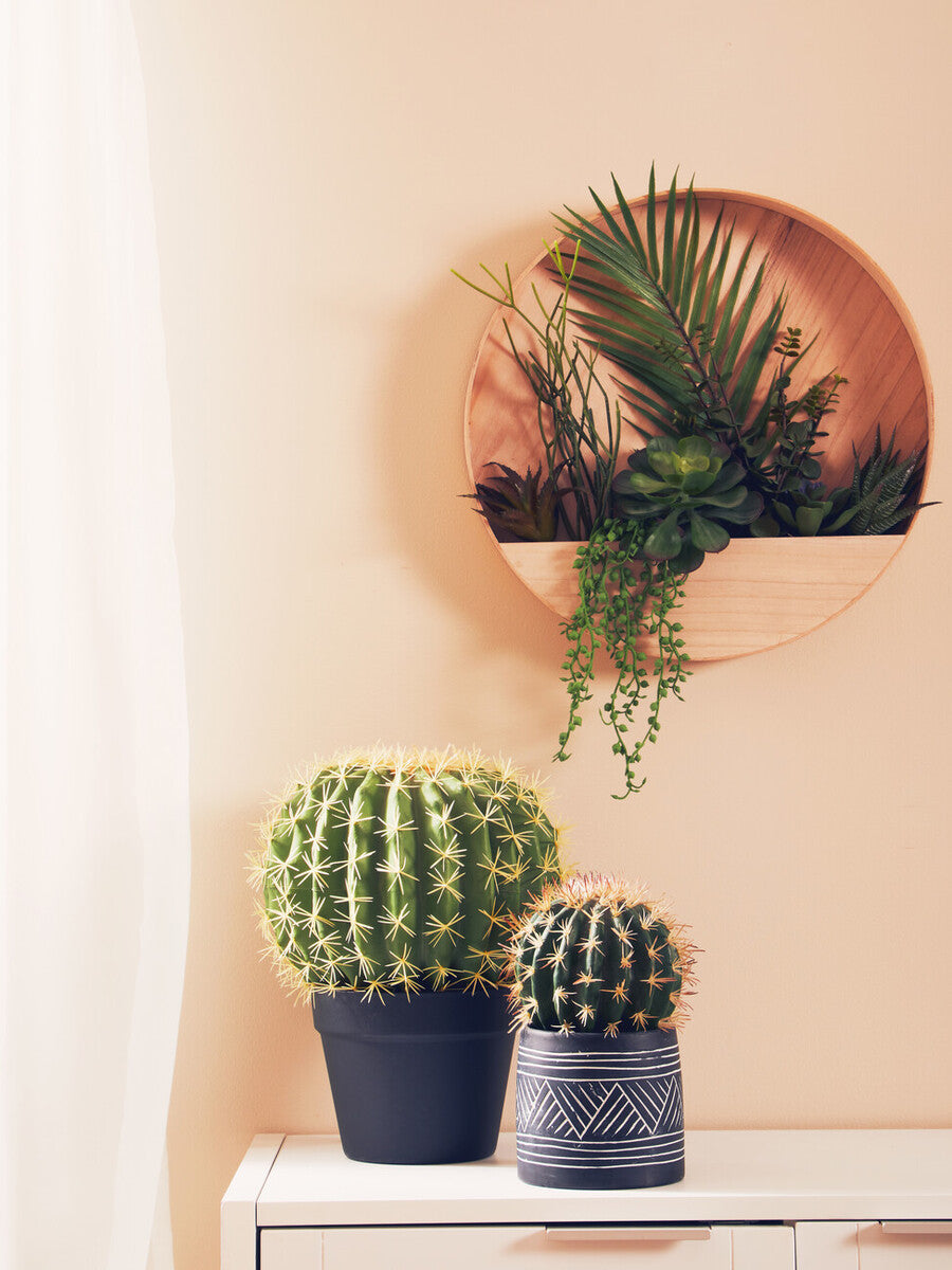 Fiori Round Cactus In Pot Green