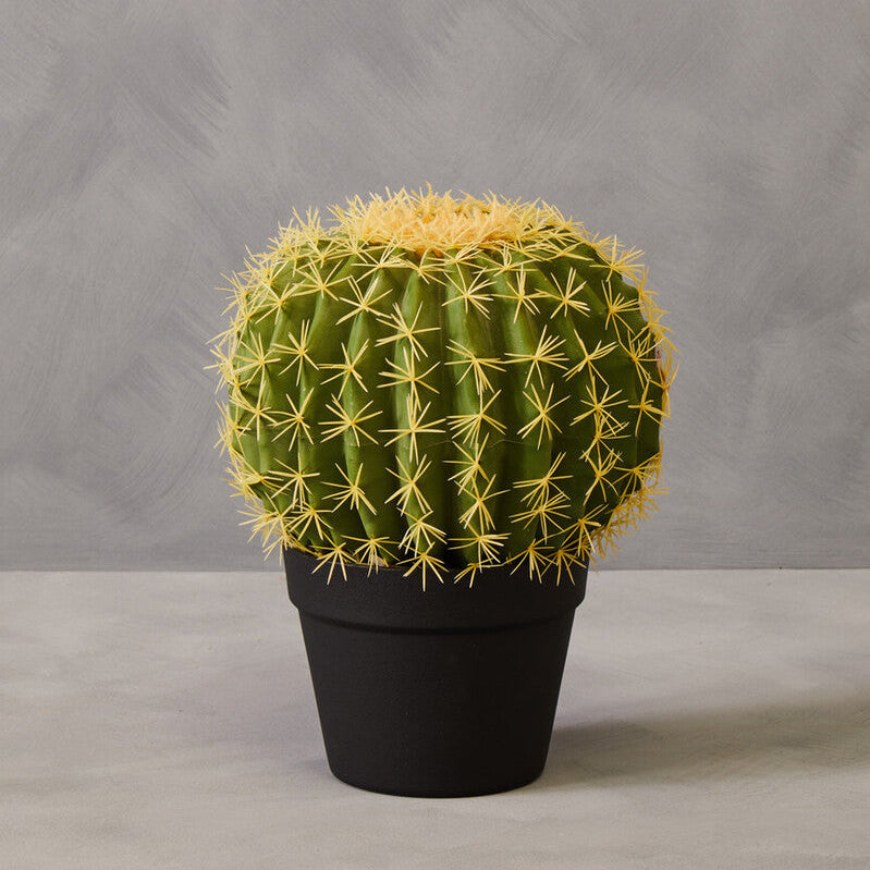 Fiori Round Cactus In Pot Green