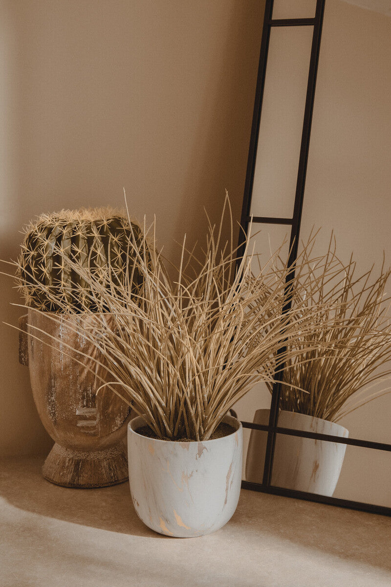 Fiori Round Cactus In Pot Green