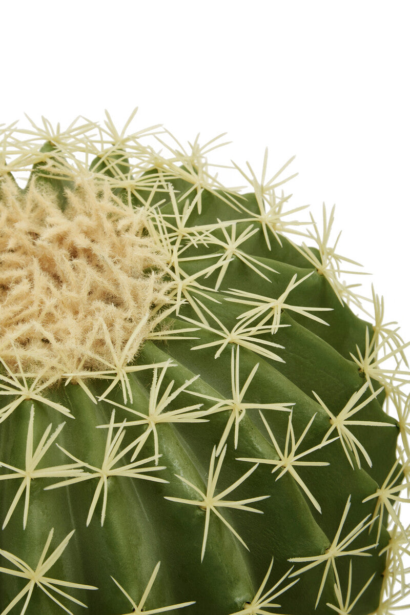Fiori Round Cactus In Pot Green