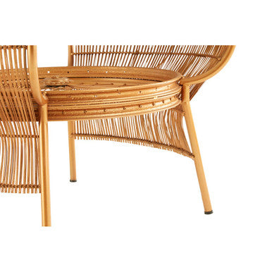 Clear Glass Top Table With Gold Bamboo & Iron Frame, Mantis