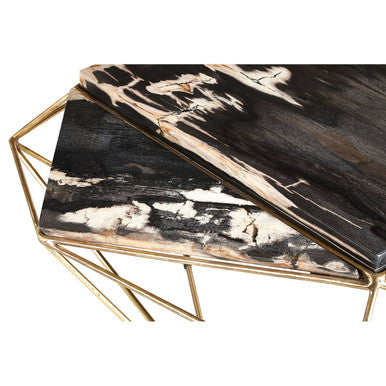 Rustic Dark Petrified Wood Coffee Table With Gold Brass Geometric Frame, Relic