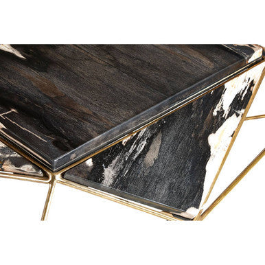 Rustic Dark Petrified Wood Coffee Table With Gold Brass Geometric Frame, Relic