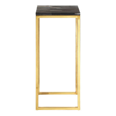 Black Petrified Wood Top Square Pedestal Side Table With Gold Warm Brass Iron Base, Relic