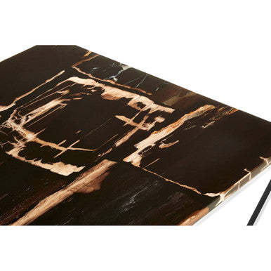 Dark Petrified Wood Top Coffee Table With Prominent Graining & Silver Stainless Steel Frame, Relic
