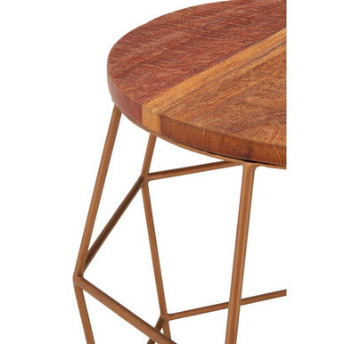 Natural Recycled Wood Top Rounded Side Table With Brass Iron Wireframe Base, Nandri