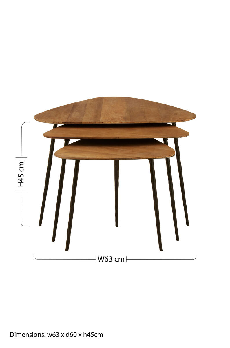 Black & Brown Elm Wood Top Nest Of 3 Triangular Tables With Black Iron Legs, Elmo