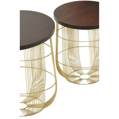 Set Of 2 Brown Mango Wood Side Tables With Gold Metal Base, Agra