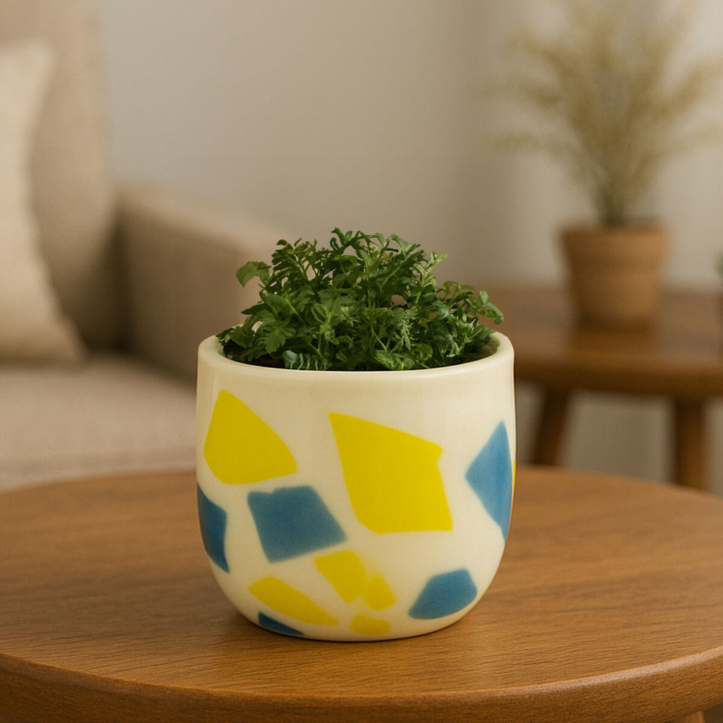 Carra Abstract Design Glass Planter
