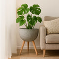 Darnell Large Grey Speckled Planter