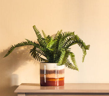 Sorrell Small White Planter