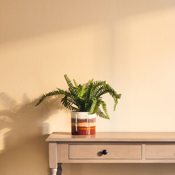 Sorrell Small White Planter