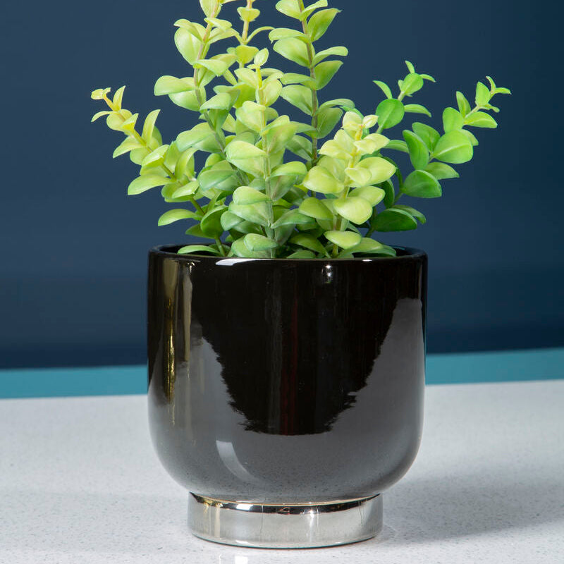 Callie Black Small Planter With Silver Base