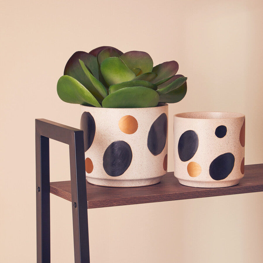 Yuri White & Gold Spotted Planter