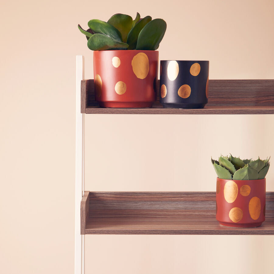Yuri Small Terracotta Gold Spotted Planter