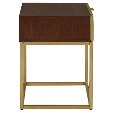 Dark Brown Shagreen Top Console Table With One Storage Drawers & Gold Iron Frame, Kempton