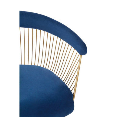 Anzio Navy Blue Velvet & Brushed Gold Chair