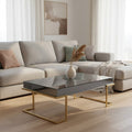 Grey Mirrored Top Coffee Table With Gold Stainless Steel Sledge Base, Kaso